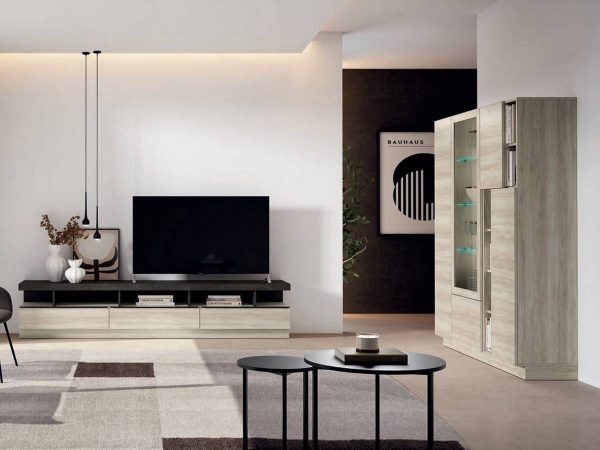 Mueble Salon Soma 24